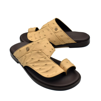 Vela Ostrich