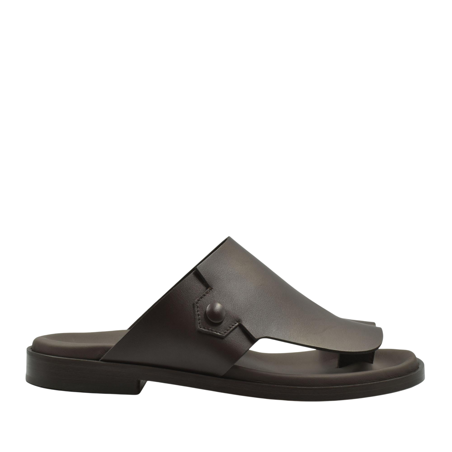 Arabian Vela Graffetta