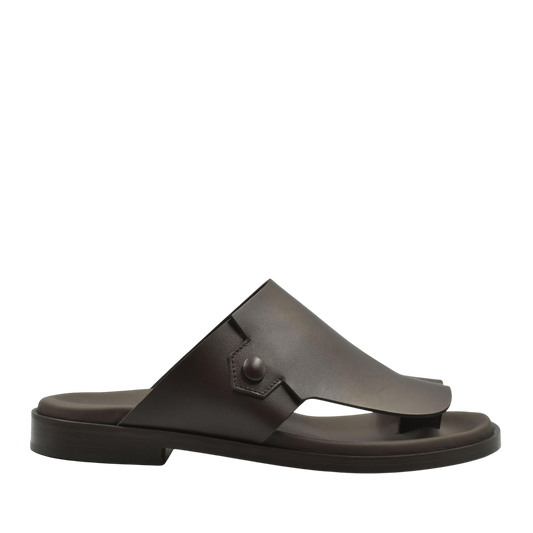 Arabian Vela Graffetta