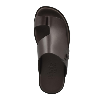 Arabian Vela Graffetta