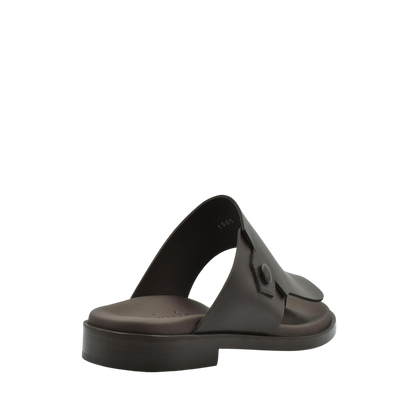 Arabian Vela Graffetta