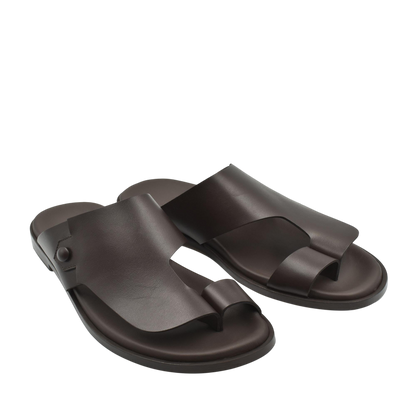 Arabian Vela Graffetta