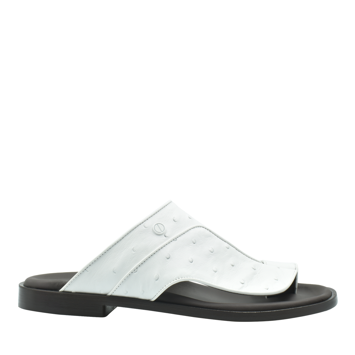 Vela Ostrich