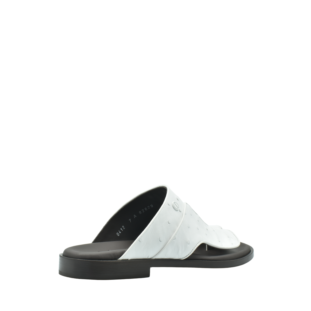 Vela Ostrich