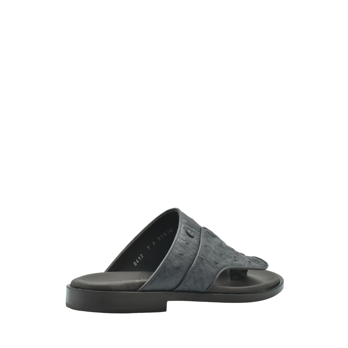 Vela Ostrich