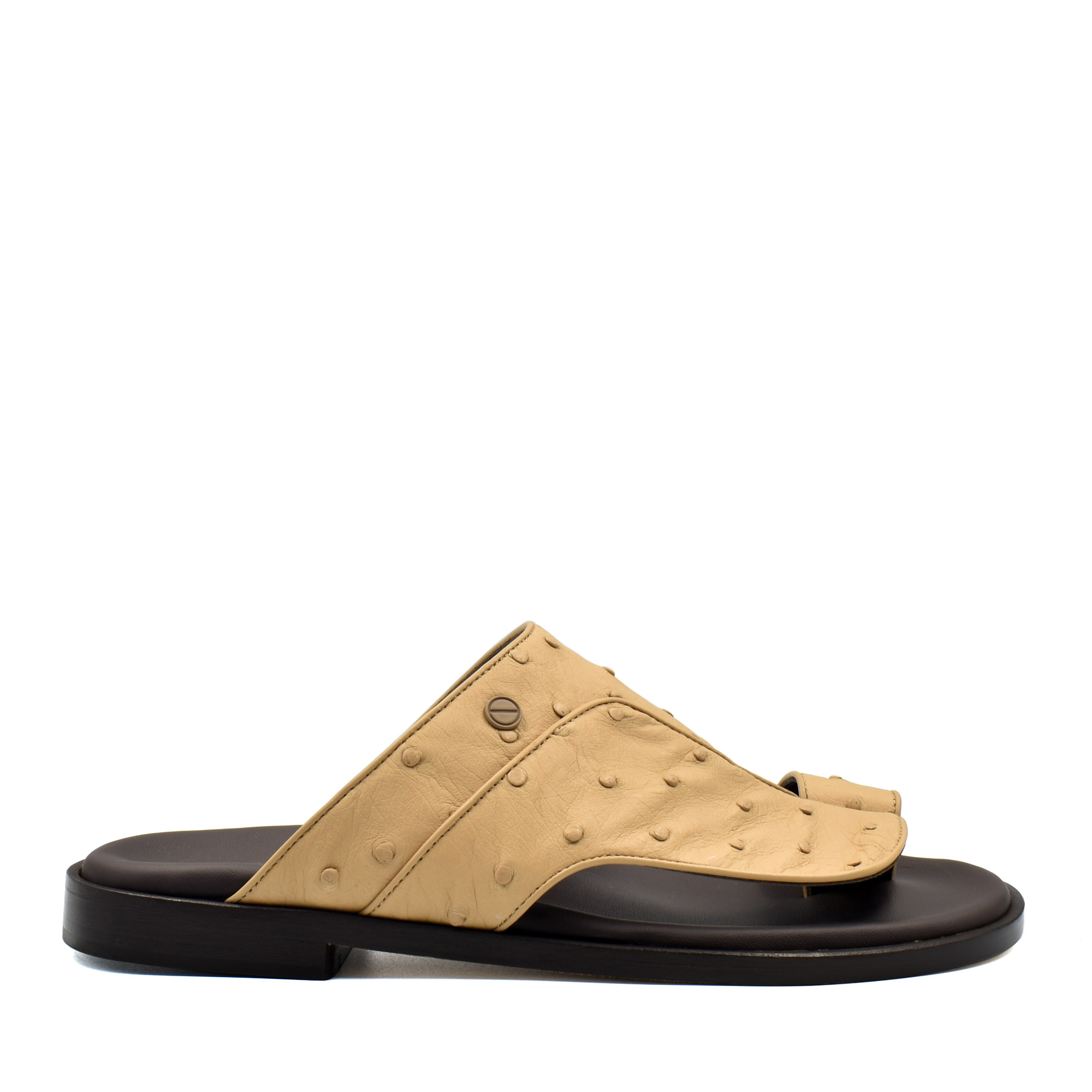 Vela Ostrich